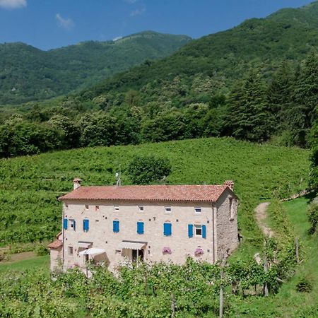 Agriturismo Podere Del Bosc Valmareno Kültér fotó