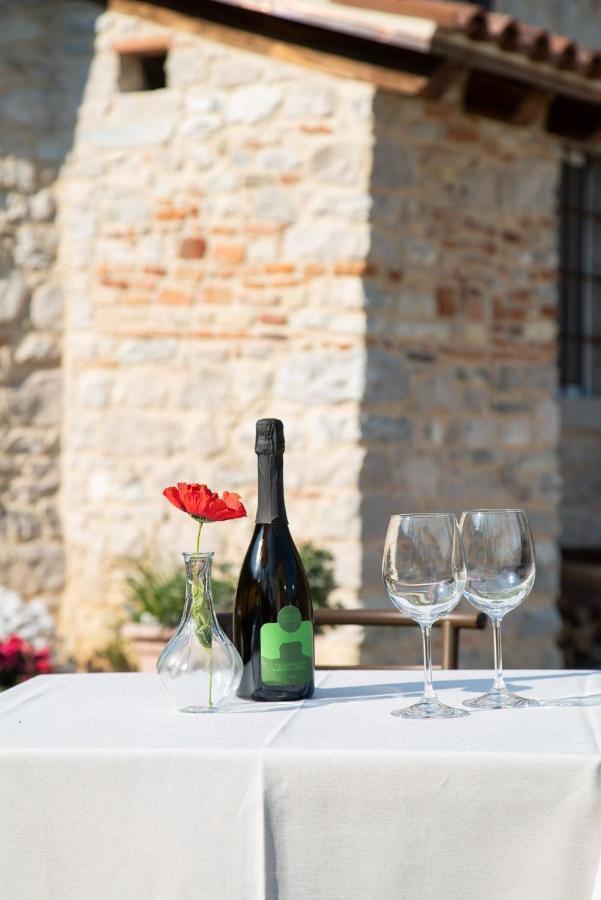 Agriturismo Podere Del Bosc Valmareno Kültér fotó
