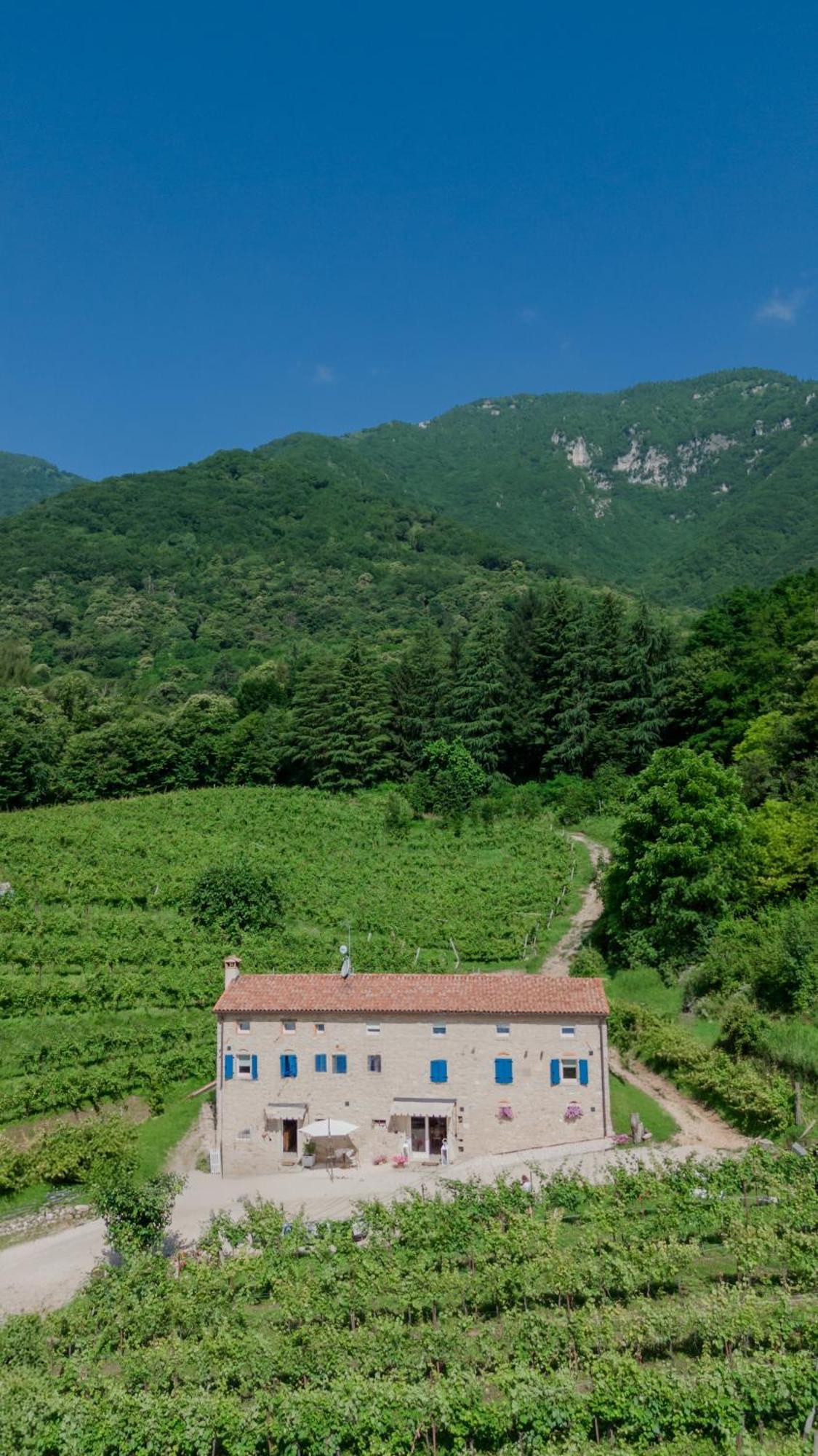 Agriturismo Podere Del Bosc Valmareno Kültér fotó