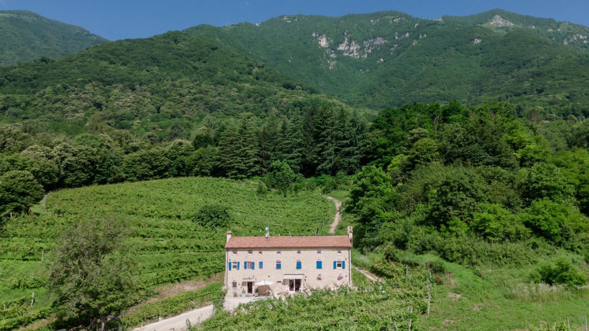 Agriturismo Podere Del Bosc Valmareno Kültér fotó